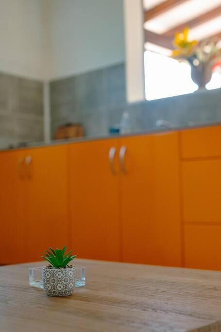 Le Man Nima Villa Les Abymes Ngoại thất bức ảnh